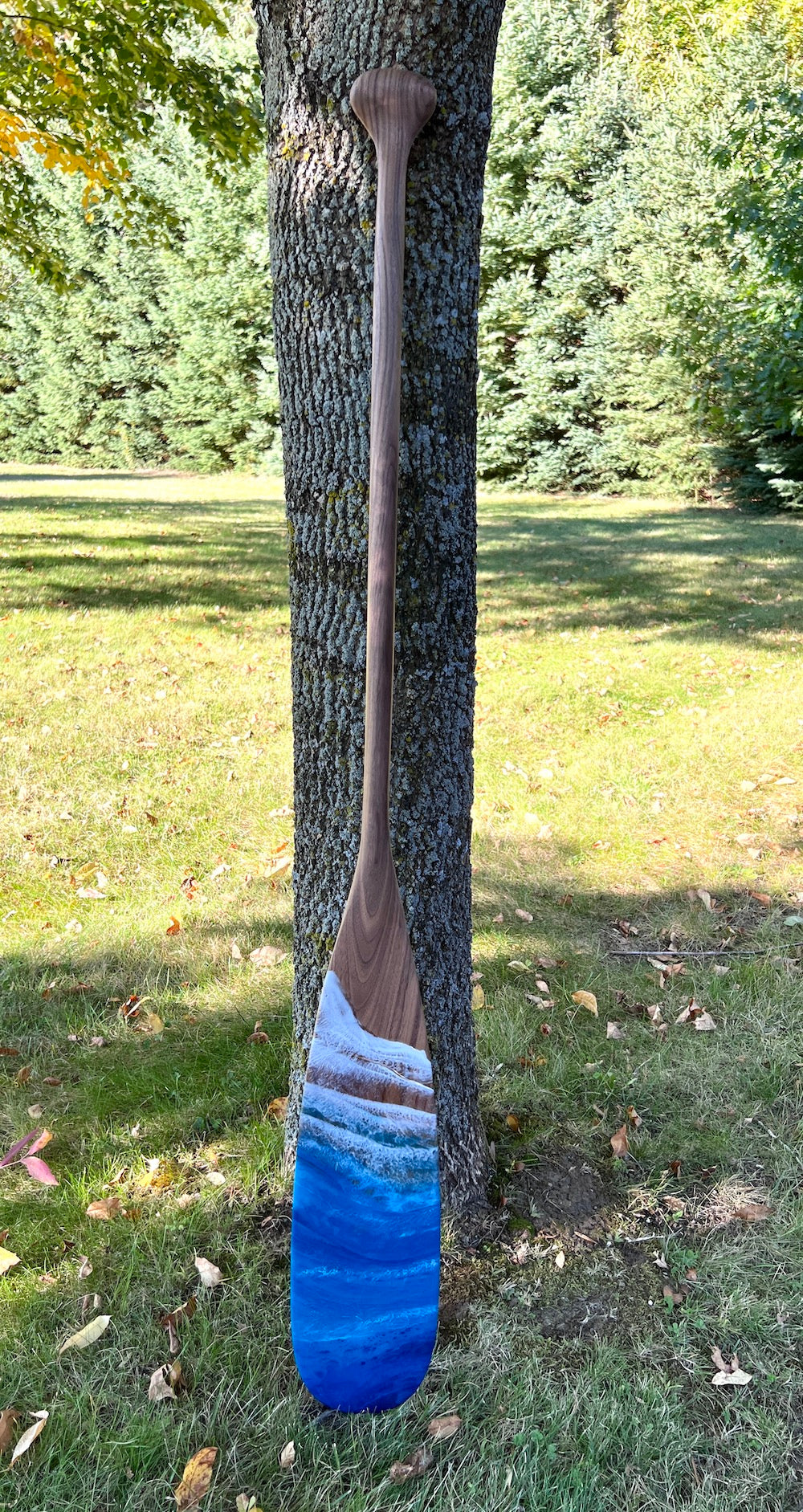 Black Walnut  Georgian Bay Paddle - 51"