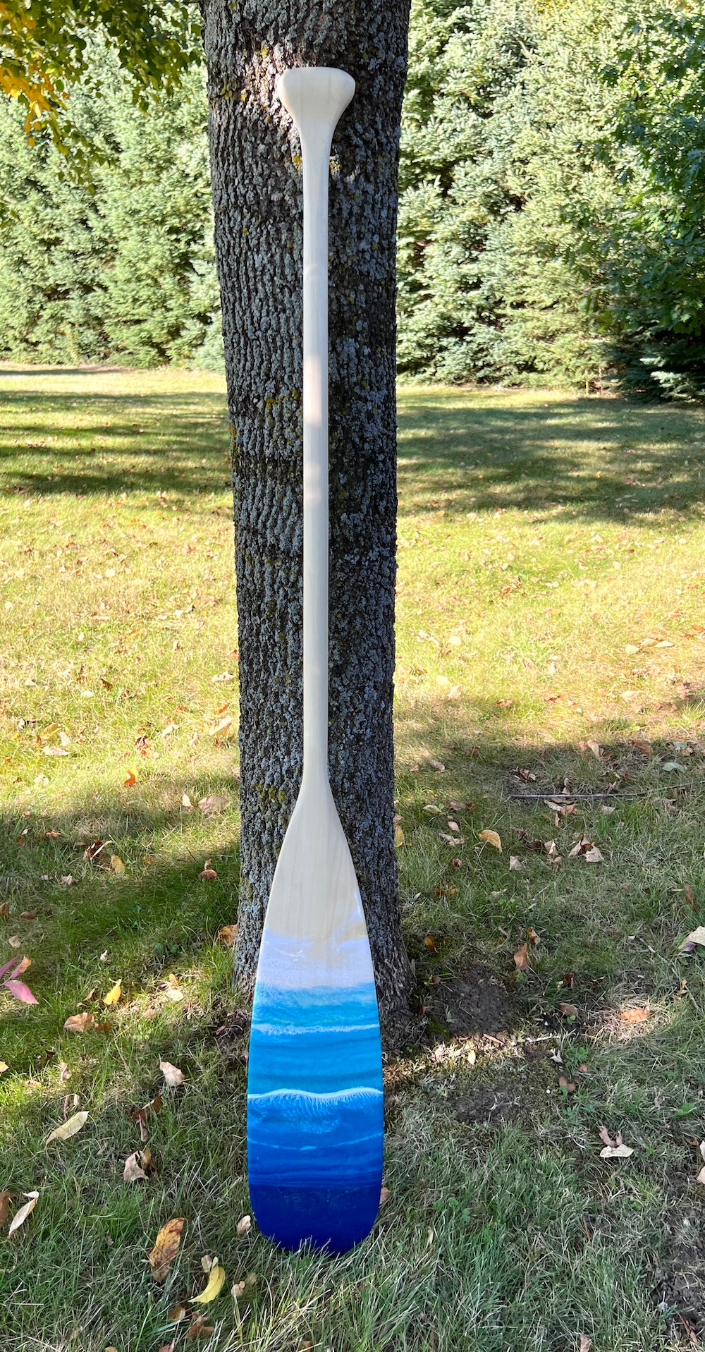 Poplar Georgian Bay Paddle - 51"